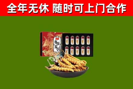赤峰回收冬虫夏草价格